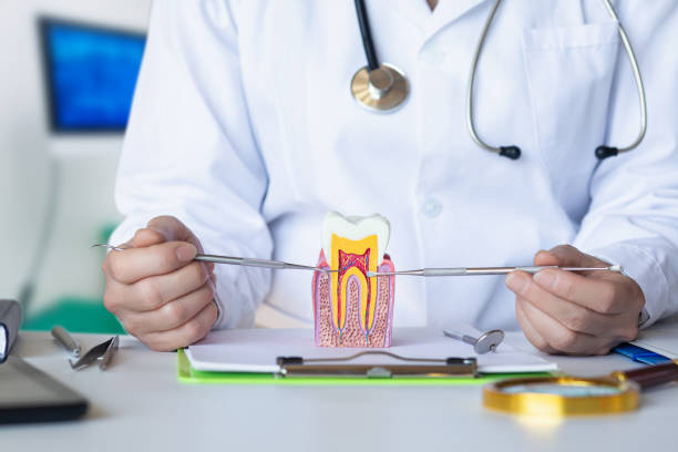 Best Cosmetic Emergency Dentistry in Shafer, MN